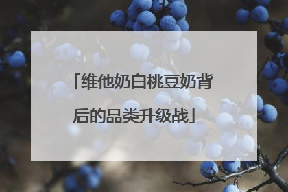 维他奶白桃豆奶背后的品类升级战