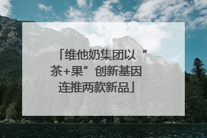维他奶集团以“茶+果”创新基因连推两款新品