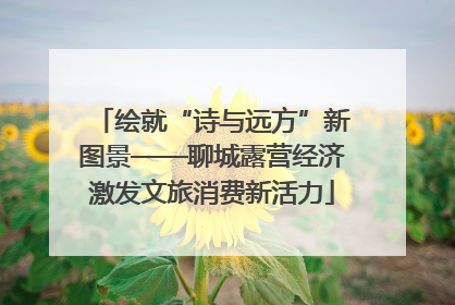 绘就“诗与远方”新图景——聊城露营经济激发文旅消费新活力