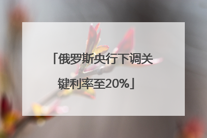 俄罗斯央行下调关键利率至20%