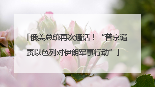 俄美总统再次通话！“普京谴责以色列对伊朗军事行动”