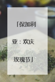 保加利亚：欢庆玫瑰节