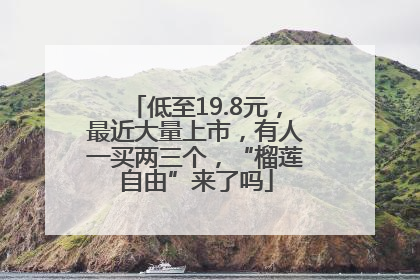 低至19.8元，最近大量上市，有人一买两三个，“榴莲自由”来了吗