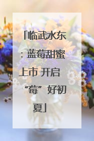 临武水东：蓝莓甜蜜上市 开启“莓”好初夏