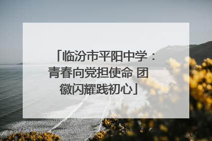 临汾市平阳中学：青春向党担使命 团徽闪耀践初心