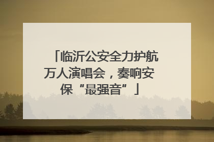 临沂公安全力护航万人演唱会，奏响安保“最强音”