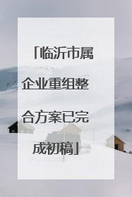 临沂市属企业重组整合方案已完成初稿