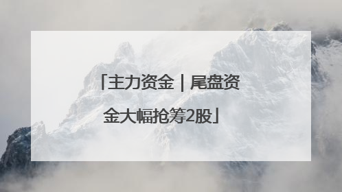 主力资金｜尾盘资金大幅抢筹2股