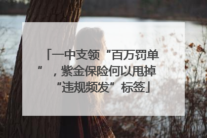 一中支领“百万罚单”，紫金保险何以甩掉“违规频发”标签