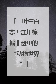 一叶生百态！江川棕编非遗里的“动物世界”