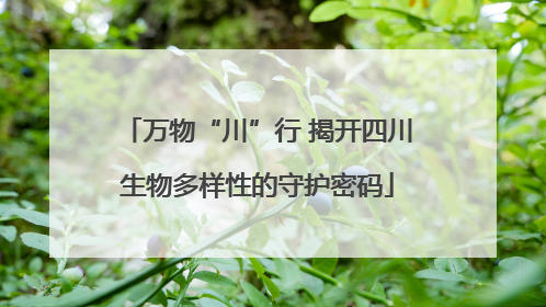 万物“川”行 揭开四川生物多样性的守护密码