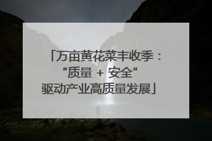 万亩黄花菜丰收季：“质量 + 安全” 驱动产业高质量发展
