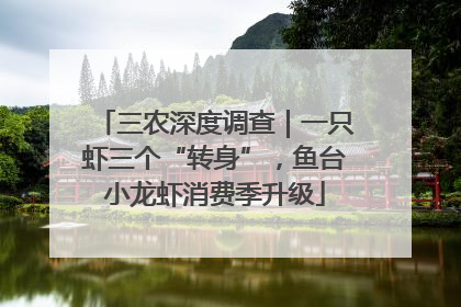 三农深度调查｜一只虾三个“转身”，鱼台小龙虾消费季升级