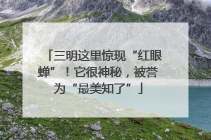 三明这里惊现“红眼蝉”！它很神秘，被誉为“最美知了”
