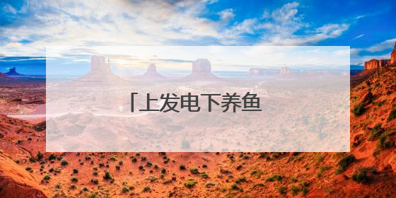 上发电下养鱼 废坑塘巧生金