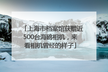 上海市档案馆获赠近500台海鸥相机，来看相机曾经的样子