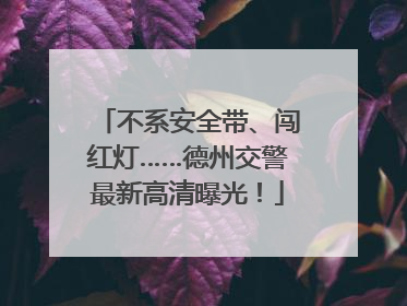 不系安全带、闯红灯……德州交警最新高清曝光！