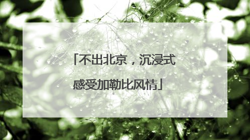 不出北京，沉浸式感受加勒比风情