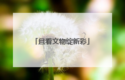 且看文物绽新彩