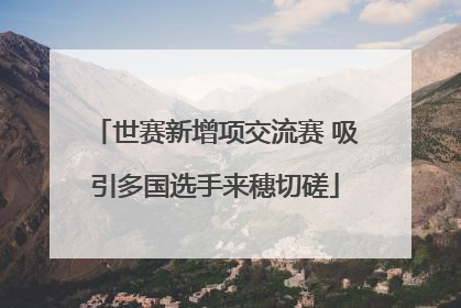 世赛新增项交流赛 吸引多国选手来穗切磋