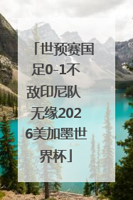 世预赛国足0-1不敌印尼队 无缘2026美加墨世界杯