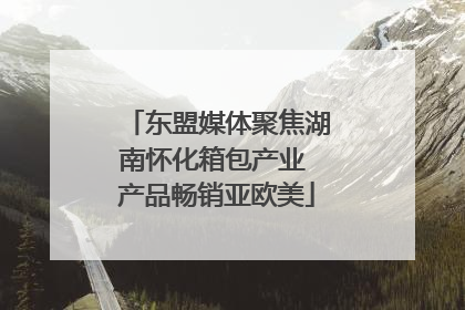 东盟媒体聚焦湖南怀化箱包产业 产品畅销亚欧美