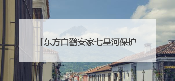 东方白鹳安家七星河保护区 人工巢迎来首批鹳宝