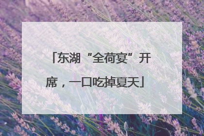东湖“全荷宴”开席，一口吃掉夏天