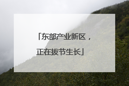 东部产业新区，正在拔节生长
