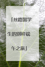 丝路留学生的别样端午之旅