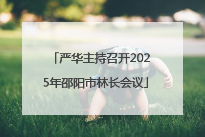 严华主持召开2025年邵阳市林长会议