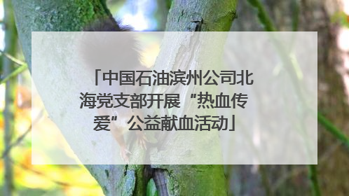 中国石油滨州公司北海党支部开展“热血传爱”公益献血活动