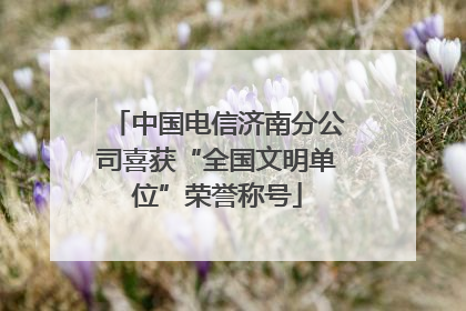 中国电信济南分公司喜获“全国文明单位”荣誉称号