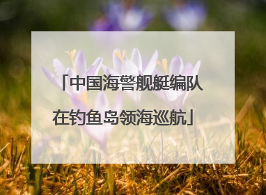 中国海警舰艇编队在钓鱼岛领海巡航