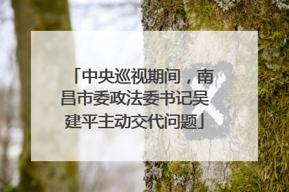 中央巡视期间，南昌市委政法委书记吴建平主动交代问题