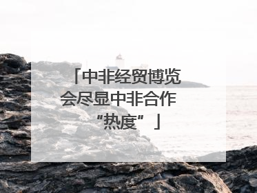 中非经贸博览会尽显中非合作“热度”