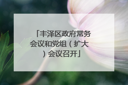 丰泽区政府常务会议和党组（扩大）会议召开