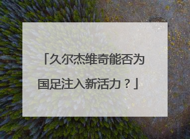 久尔杰维奇能否为国足注入新活力？