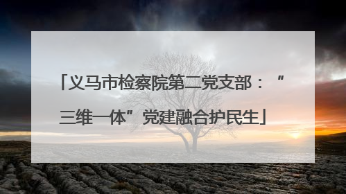 义马市检察院第二党支部：“三维一体”党建融合护民生