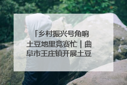 乡村振兴号角响 土豆地里竞赛忙｜曲阜市王庄镇开展土豆收获劳动竞赛