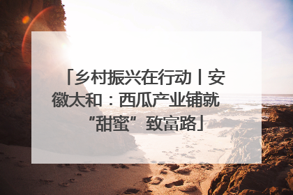 乡村振兴在行动丨安徽太和：西瓜产业铺就“甜蜜”致富路