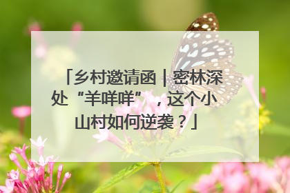 乡村邀请函｜密林深处“羊咩咩”，这个小山村如何逆袭？