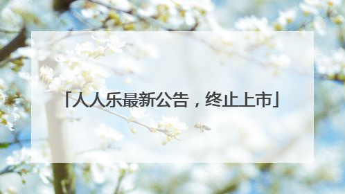 人人乐最新公告，终止上市