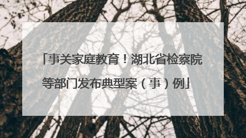 事关家庭教育！湖北省检察院等部门发布典型案（事）例