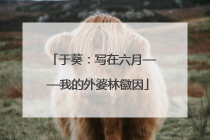 于葵：写在六月——我的外婆林徽因