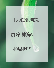云端驰骋筑屏障 林海守护显担当
