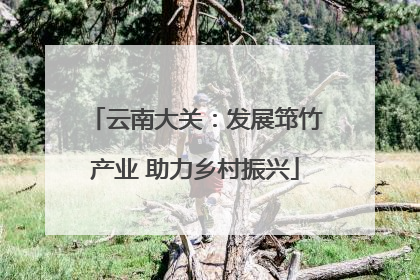云南大关：发展筇竹产业 助力乡村振兴