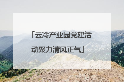 云冷产业园党建活动聚力清风正气