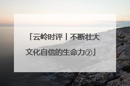 云岭时评丨不断壮大文化自信的生命力②