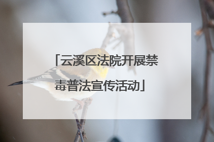 云溪区法院开展禁毒普法宣传活动